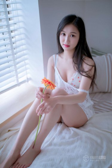 粤语动画